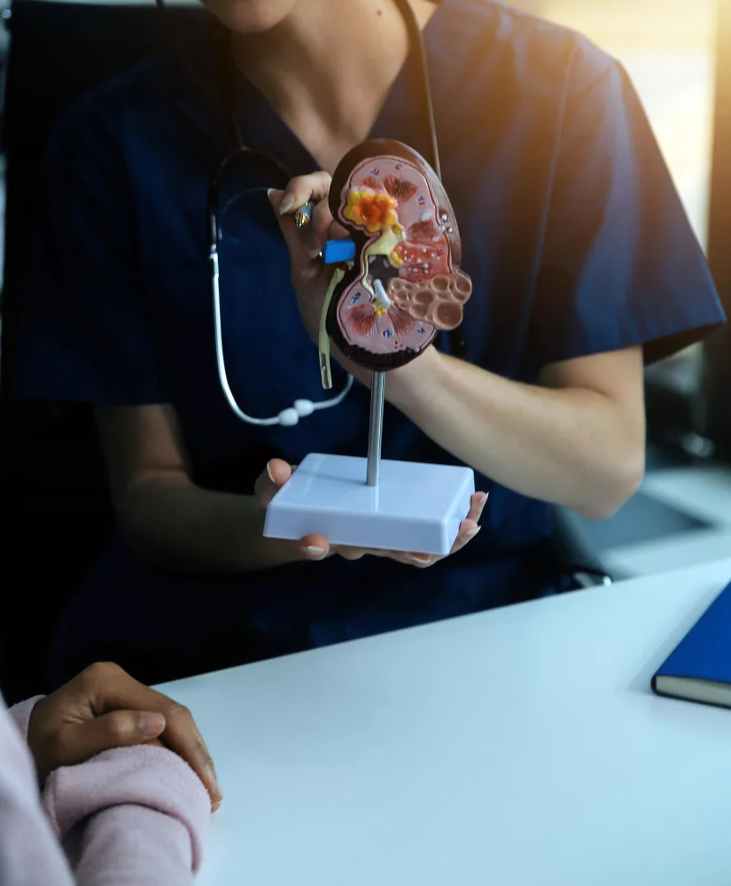 Preguntas frecuentes sobre Nefrología y Medicina Interna en Xalapa